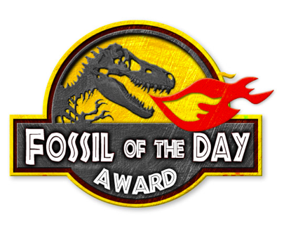 Fossil of the Day 405x332